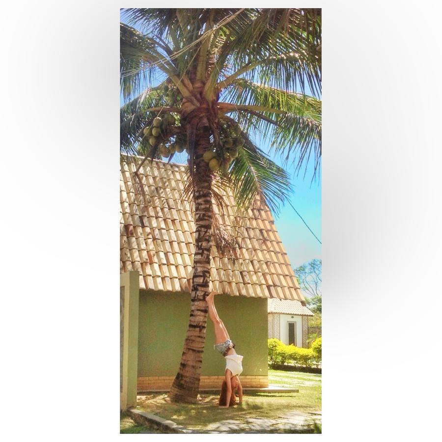 Hotel Pousada Dos Chales Кампус-дус-Гойтаказис Экстерьер фото